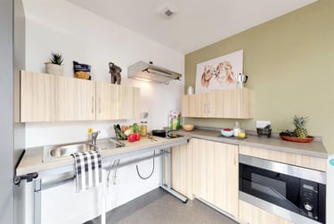 1 bed studio, St James Road, Lanarkshire, Glasgow, G40PS - Image 5